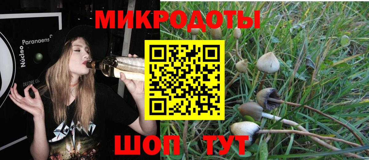 Псилоцибиновые грибы мухоморы  Вход с VPN  Менделеевск 